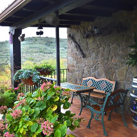 Casa Rural Los Olivos Sotoserrano Екстериор снимка