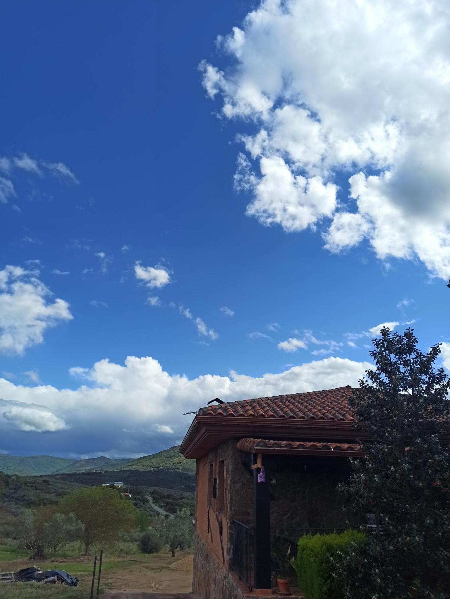 Casa Rural Los Olivos Sotoserrano Екстериор снимка
