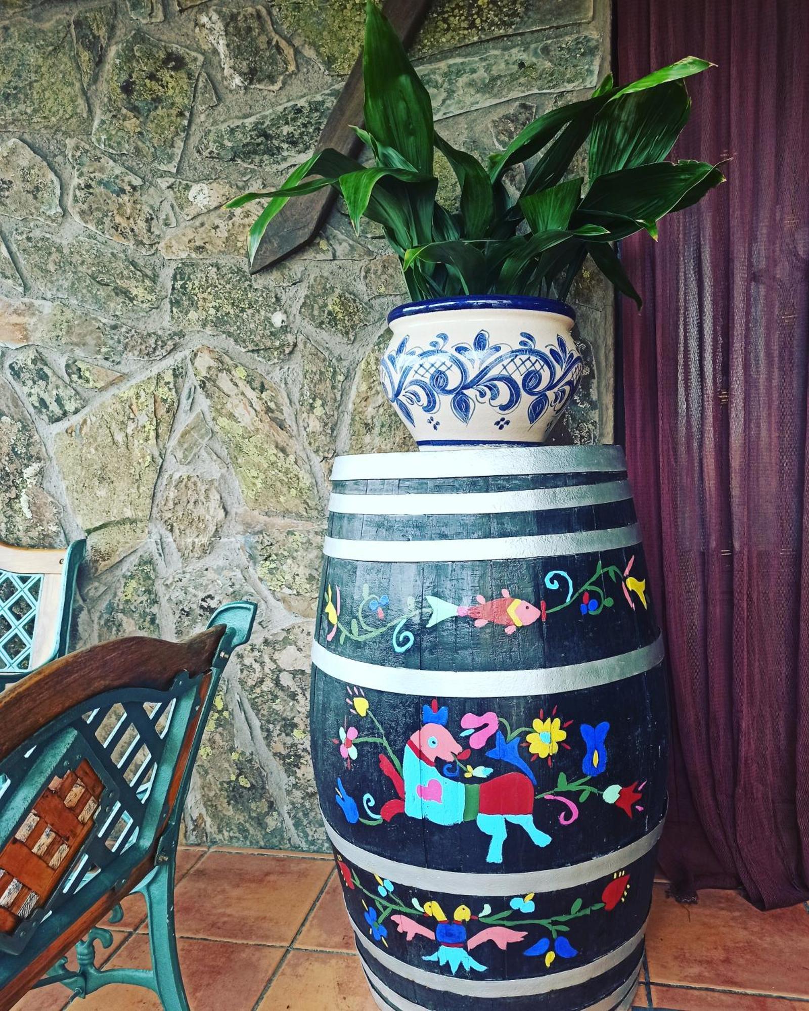 Casa Rural Los Olivos Sotoserrano Екстериор снимка
