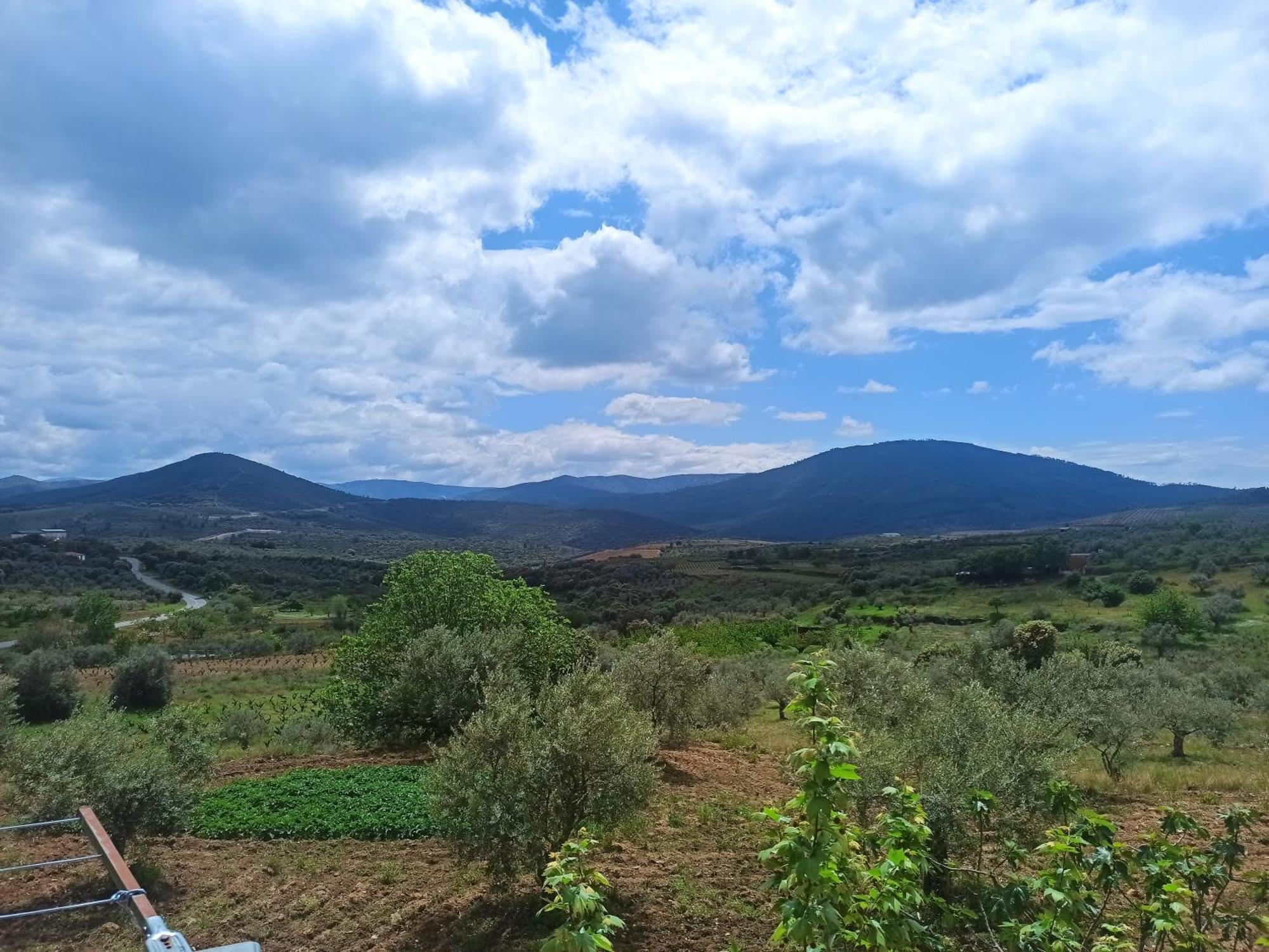 Casa Rural Los Olivos Sotoserrano Екстериор снимка
