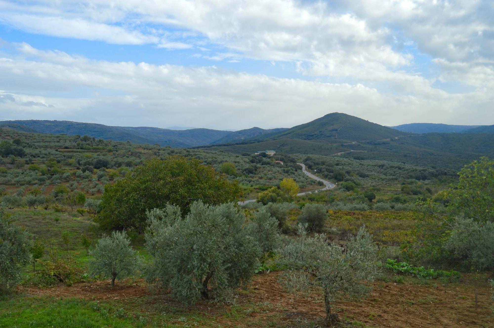 Casa Rural Los Olivos Sotoserrano Екстериор снимка